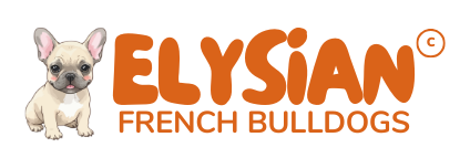 Elysian French Bulldogs